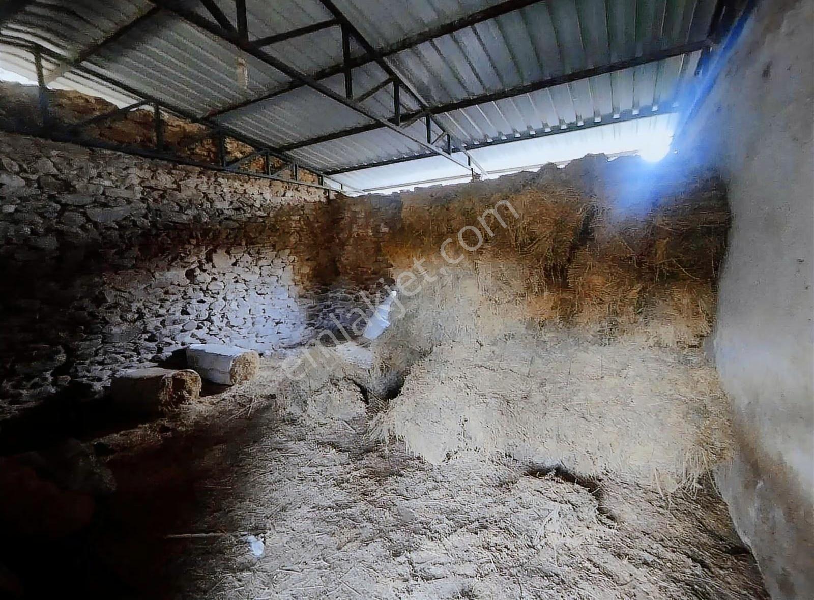 Pek Emlaktan 704 M2 Geniş Bahçeli Satılık Müstakil Ev - Görsel 5