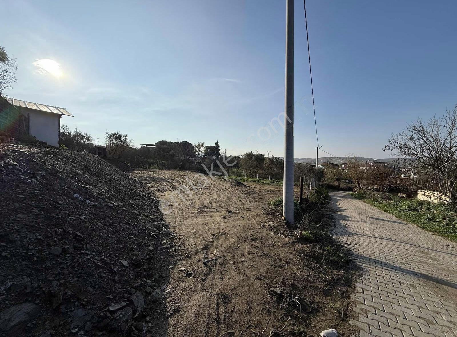 Pek Emlaktan 634 M2 Satılık İmarlı Alacalıda Arsa - Görsel 5