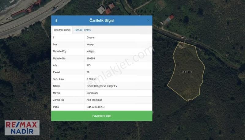 Remax'ten Keşapta Yatırımlık 7.063 M² Verimli Fındık Bahçesi - Görsel 3