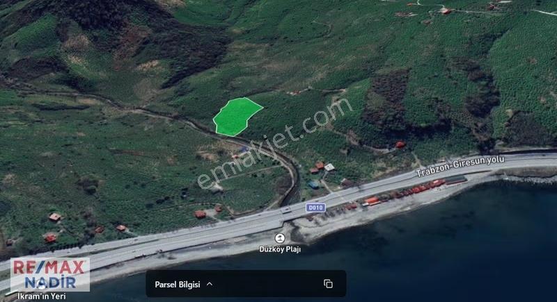 Remax'ten Keşapta Yatırımlık 7.063 M² Verimli Fındık Bahçesi - Görsel 2