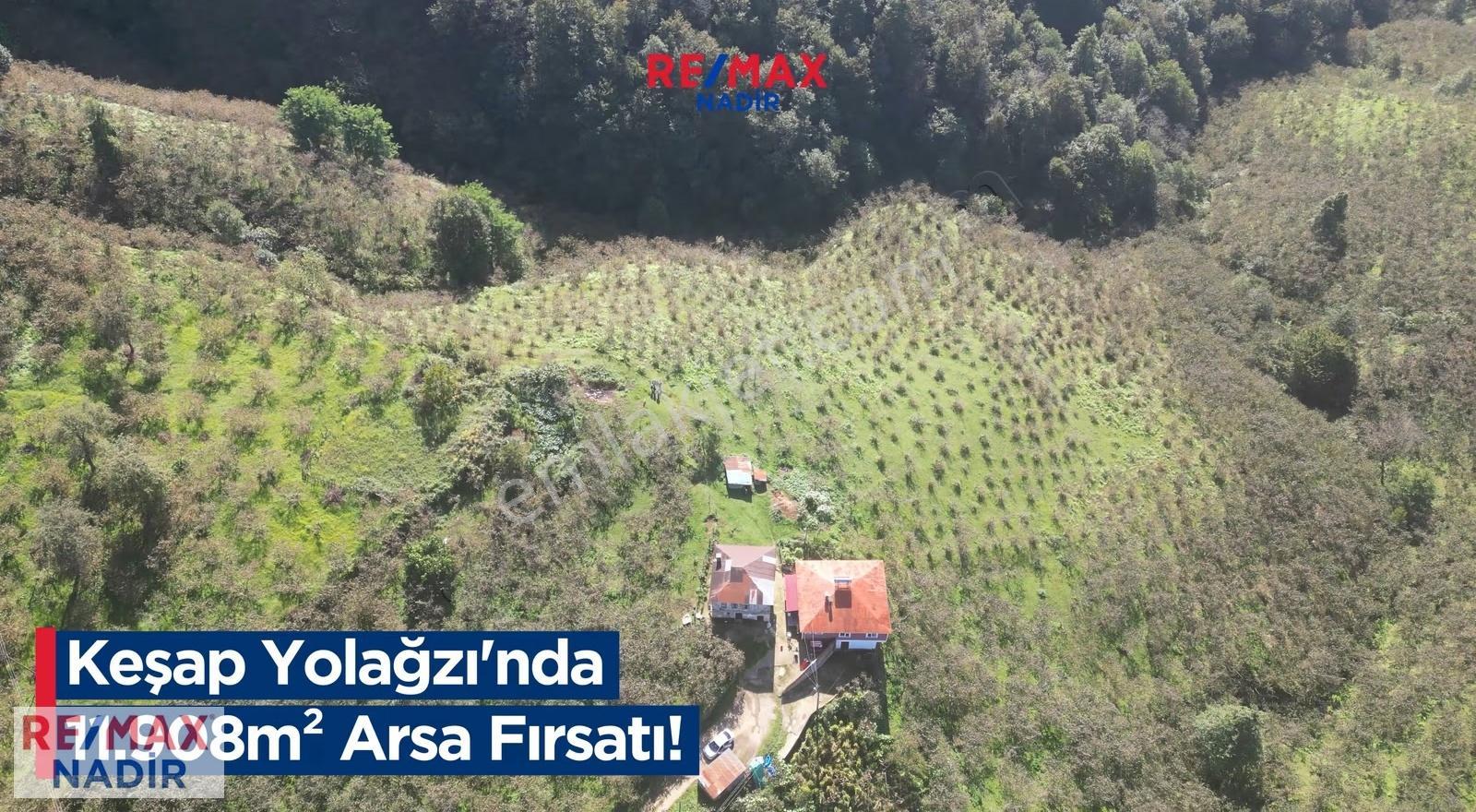 Re/max Nadir 'den Keşap Yolağzı Satılık 11.900 M² Fındık Bahçesi - Görsel 2
