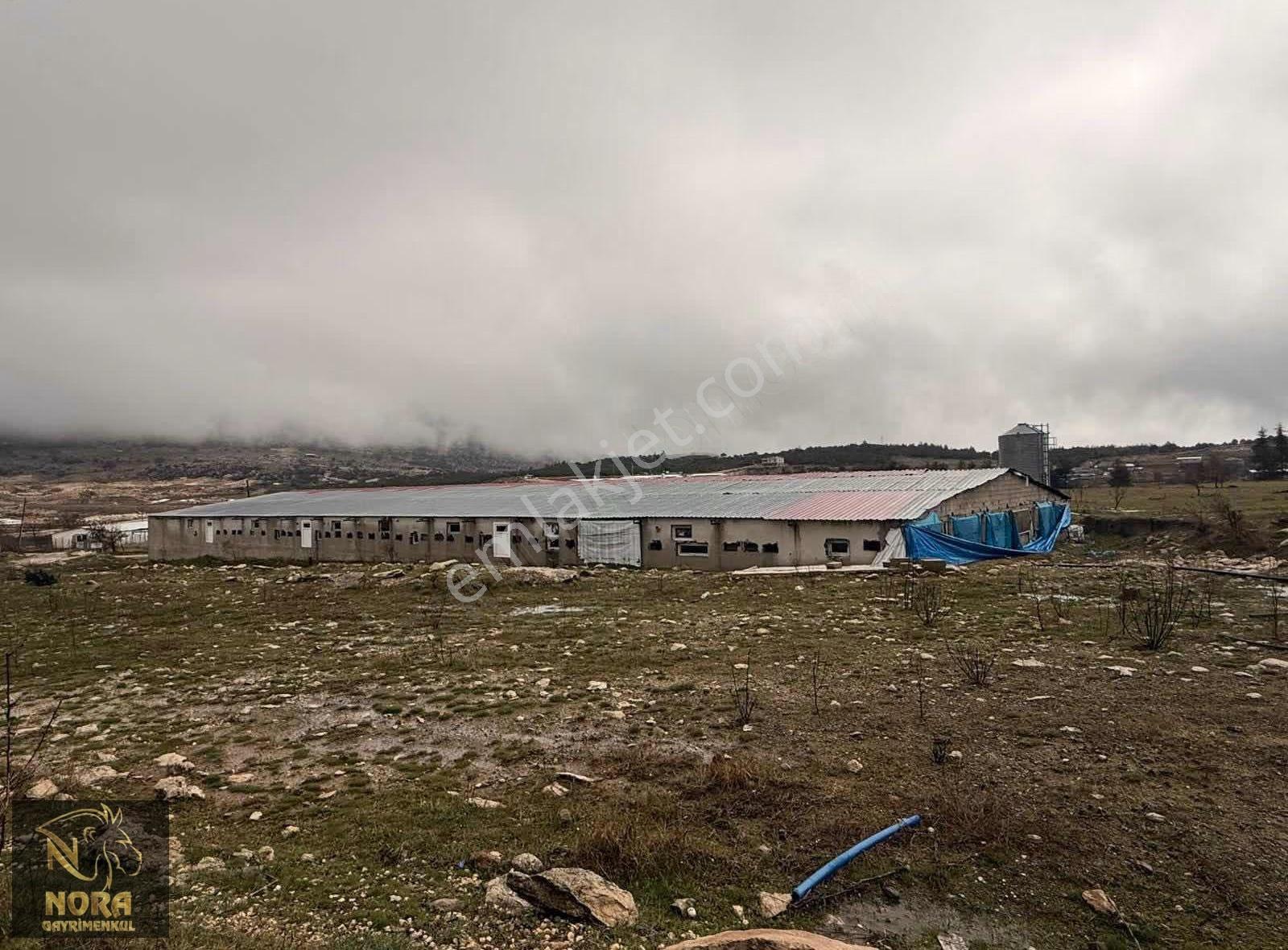 Acil | Mezitli Akarca 10.547 M² Yola Cepheli Değerli Arazi - Görsel 5