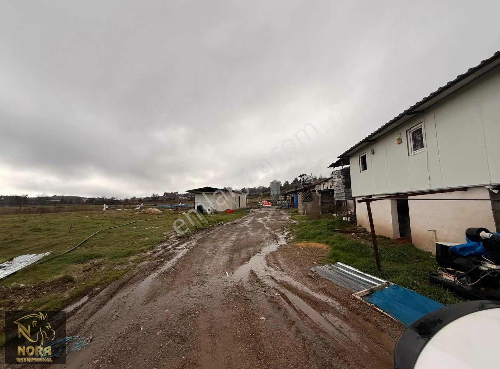 Acil | Mezitli Akarca 10.547 M² Yola Cepheli Değerli Arazi - Görsel 16