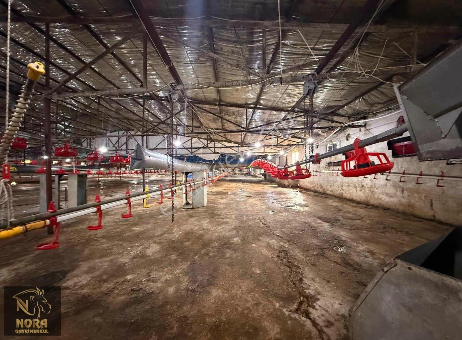 Acil | Mezitli Akarca 10.547 M² Yola Cepheli Değerli Arazi - Görsel 25