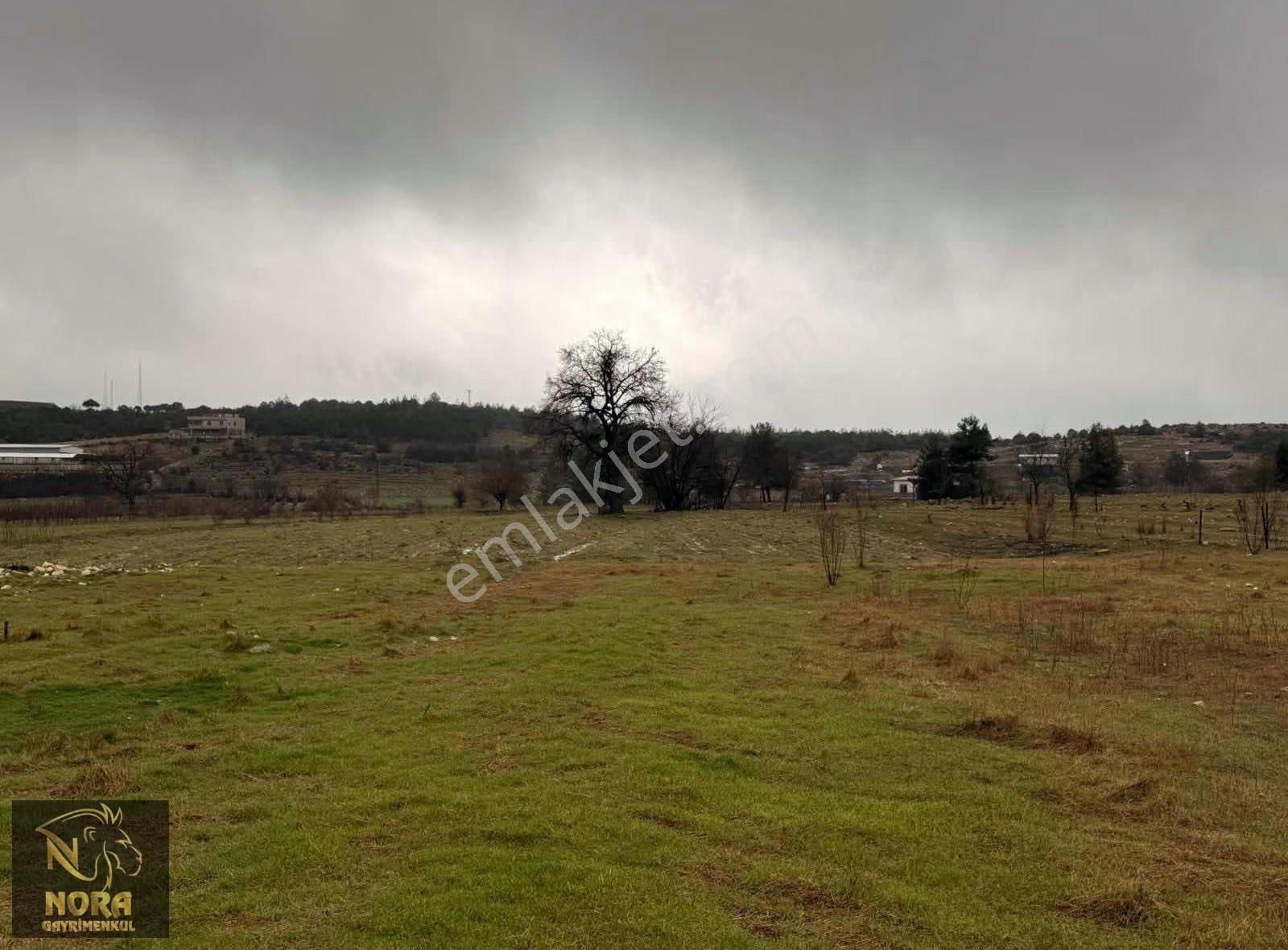 Acil | Mezitli Akarca 10.547 M² Yola Cepheli Değerli Arazi - Görsel 8