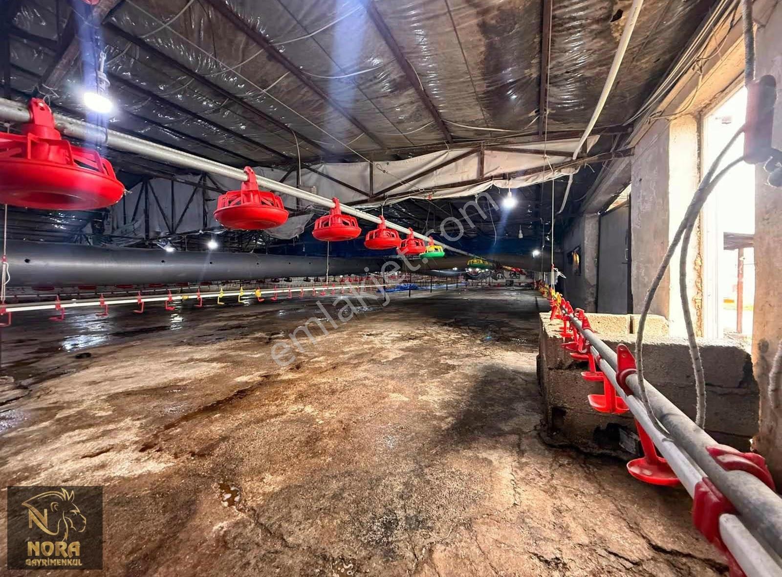 Acil | Mezitli Akarca 10.547 M² Yola Cepheli Değerli Arazi - Görsel 33