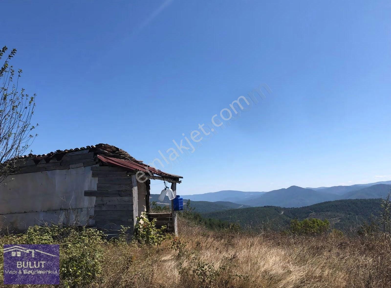 Traklı Hacıyakup M. 2.740m2 Resmi Yolu Mevcut.zirve Lokasyonda. - Görsel 2