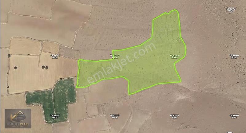 İncesu Üçkuyu Mah. 68.000m2 Tek Tapu Acil Satılık Tarla - Görsel 2