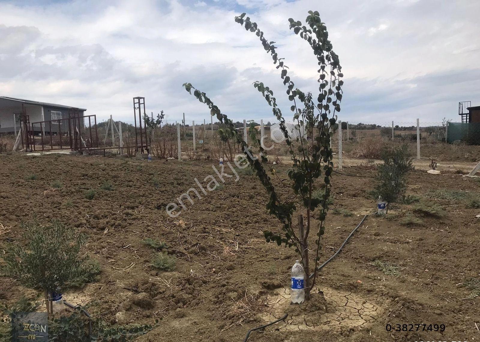 Kargakekeç De Etrafı Çevrili Suyu İçinde Arsa