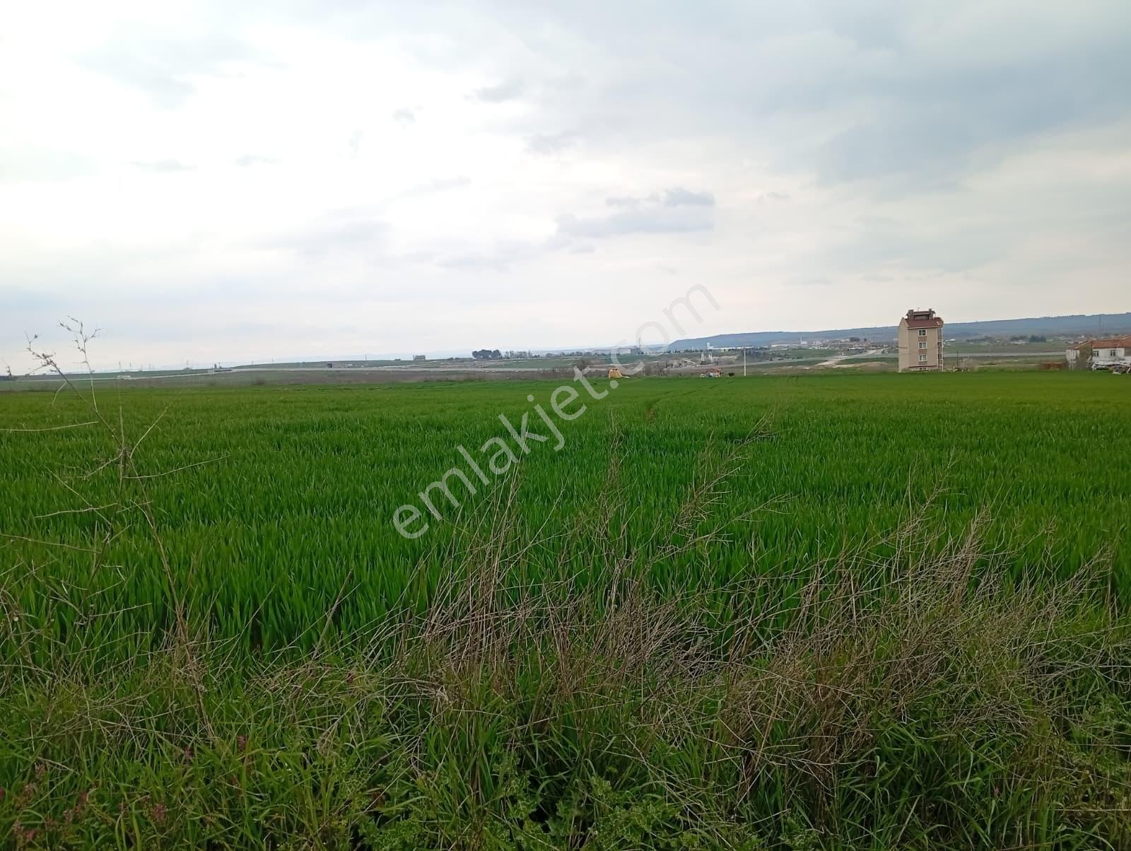 Yıldırımda Edirne Manzaralı 1.101 M2 İmarlı Arsa - Görsel 8