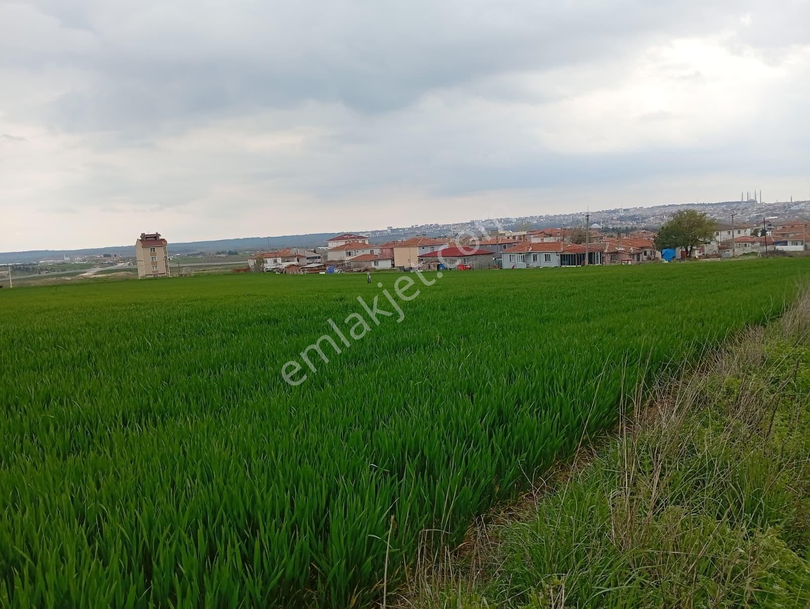Yıldırımda Edirne Manzaralı 1.101 M2 İmarlı Arsa - Görsel 5