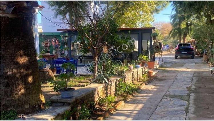 Yahşide Plajlara Yürüme Mesafesinde 4+1 Kiralık Müstakil Villa - Görsel 3