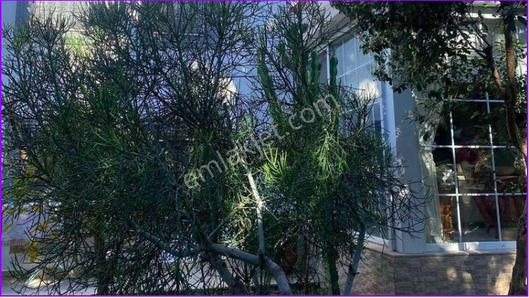 Yahşide Plajlara Yürüme Mesafesinde 4+1 Kiralık Müstakil Villa - Görsel 6