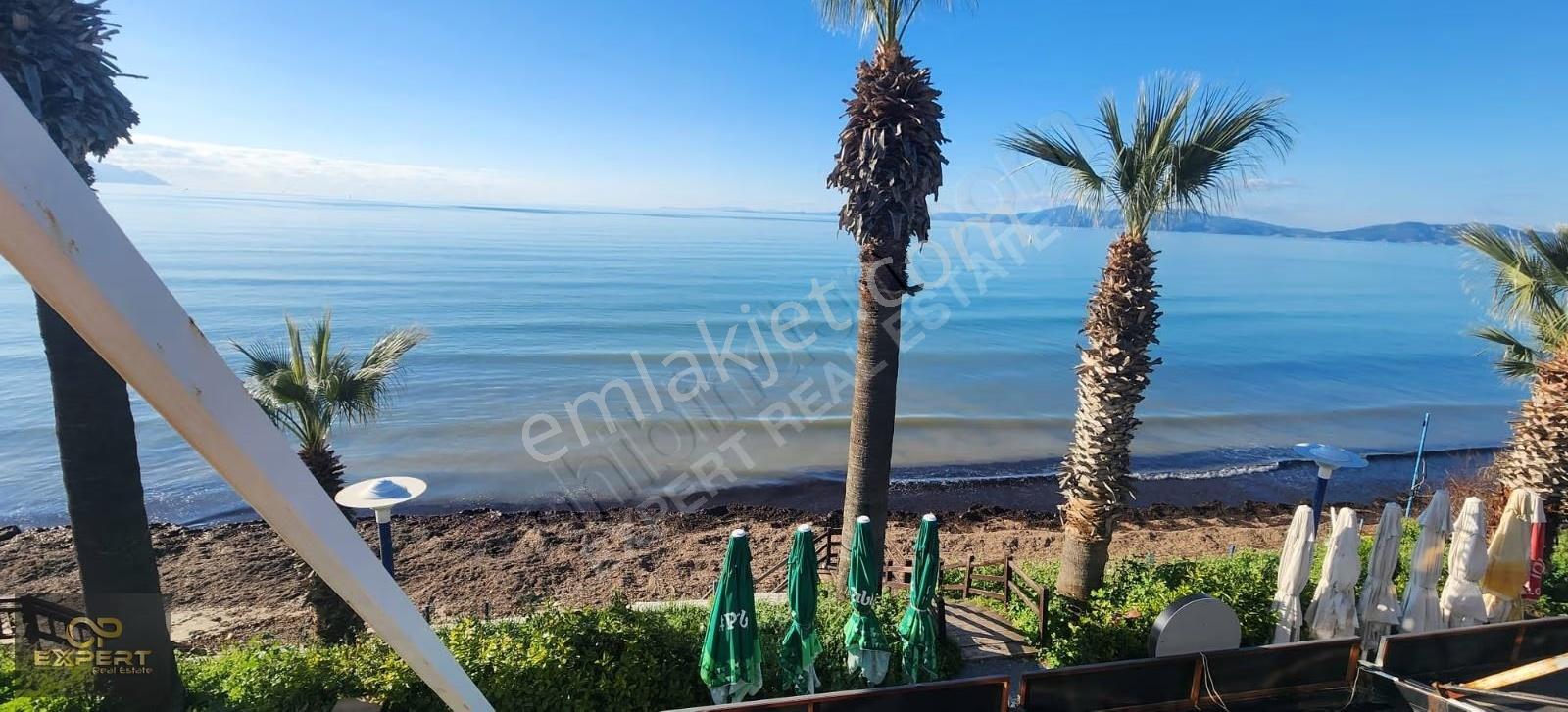 Kuşadası Kadınlar Plajında Devren Kiralık Restaurant - Görsel 27