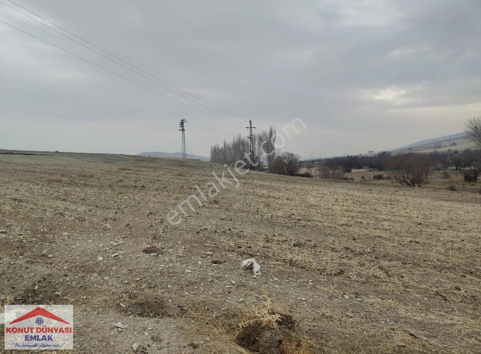 Bağrıkurt'ta Eşsiz Konumda Milliemlak Yanı 7314m2 Müstakil Tapu - Görsel 9