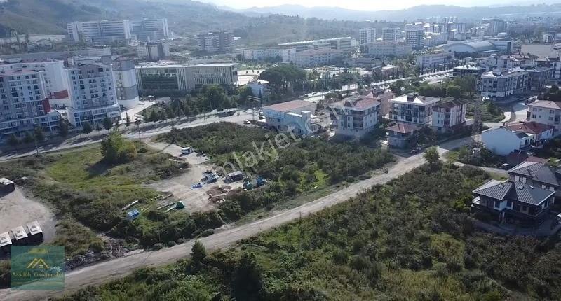 Anadolu'dan Turnasuyunda Satılık Villalık Arsalar - Görsel 5