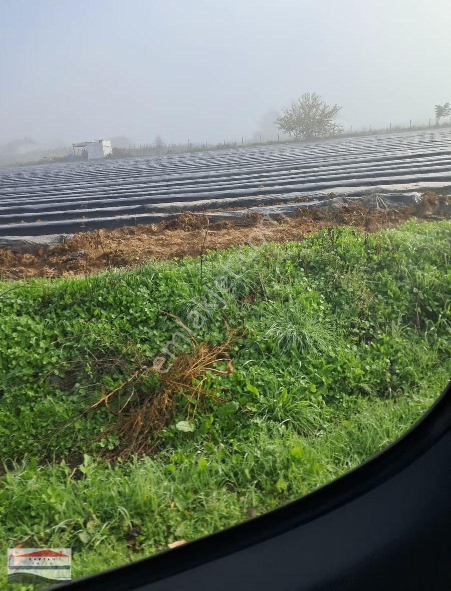 Çanakkale Yenice Hamdibey Yolu Ve Suyu Olan 8700 M2 Satılık Tarl - Görsel 5