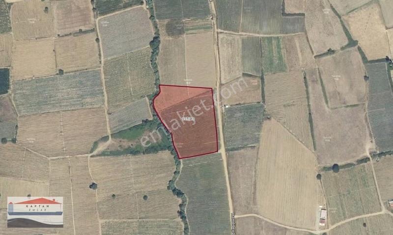 Çanakkale Yenice Hamdibey Yolu Ve Suyu Olan 8700 M2 Satılık Tarl