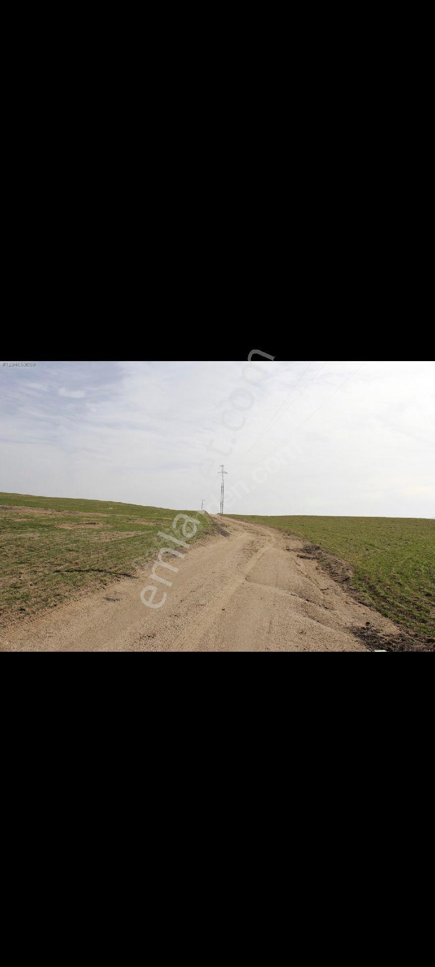 Kırıkkale Balışeyh İmarlı Arsa -elektirik'yol Ve Su Hazır - Görsel 6