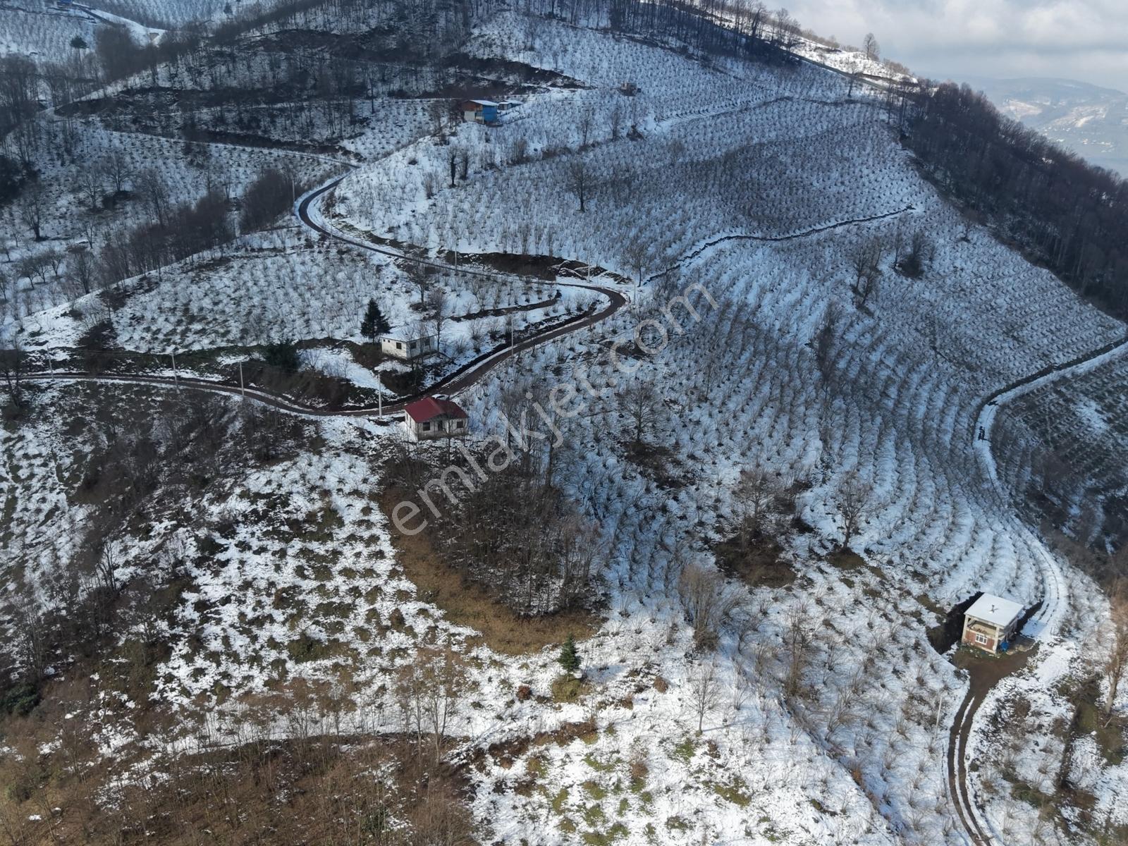 Gölyaka Yunusefendide 2.000 M² Arsa İçinde Müstakil Ev - Görsel 8