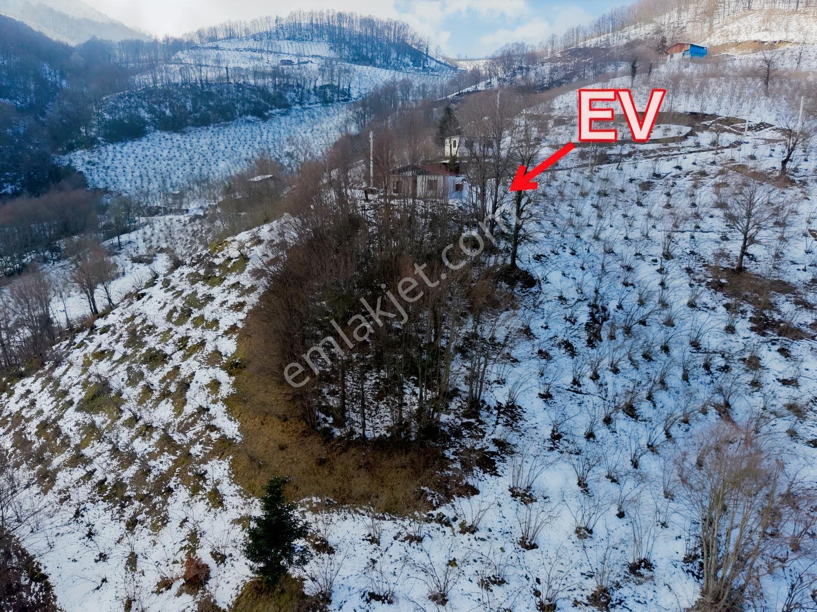 Gölyaka Yunusefendide 2.000 M² Arsa İçinde Müstakil Ev - Görsel 9