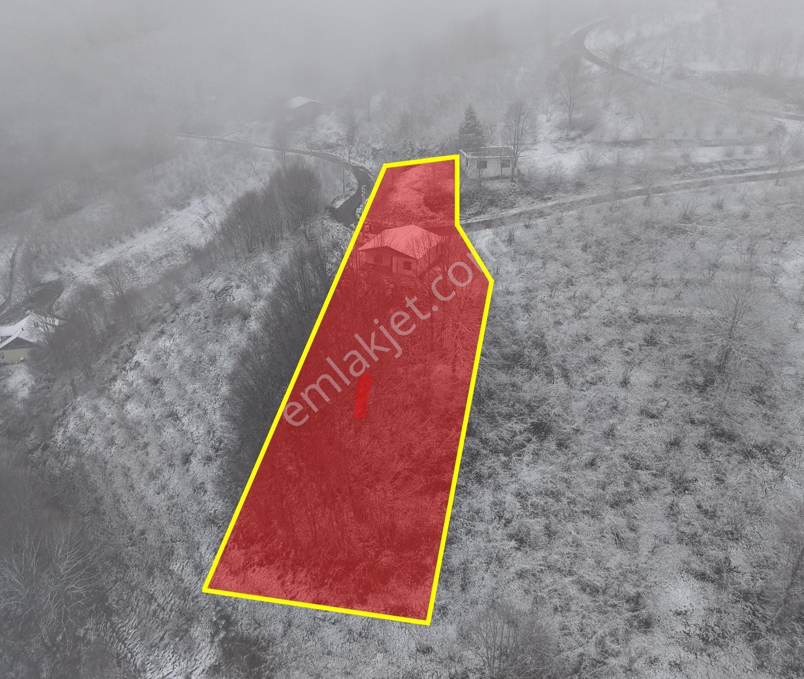Gölyaka Yunusefendide 2.000 M² Arsa İçinde Müstakil Ev - Görsel 7