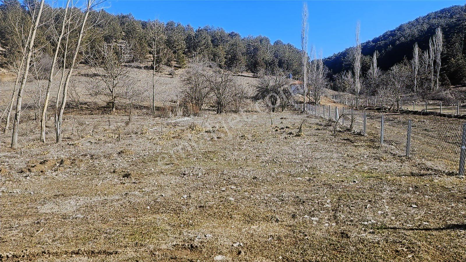 Burdur Merkez Bereket Köyü Kökez Sınırında 2 Dönüm Satılık - Görsel 4