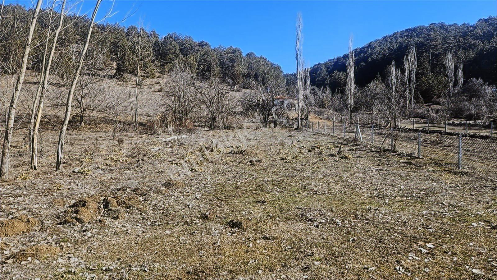 Burdur Merkez Bereket Köyü Kökez Sınırında 2 Dönüm Satılık - Görsel 7