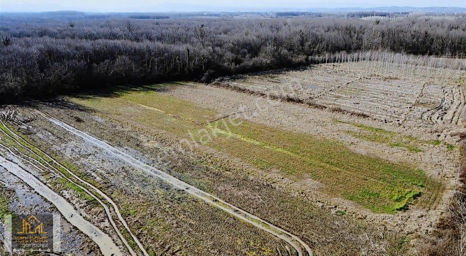 Salıpazarı Yeni Cezaevi Karşısında Satılık Fırsat 2713 M2 Tarla - Görsel 6