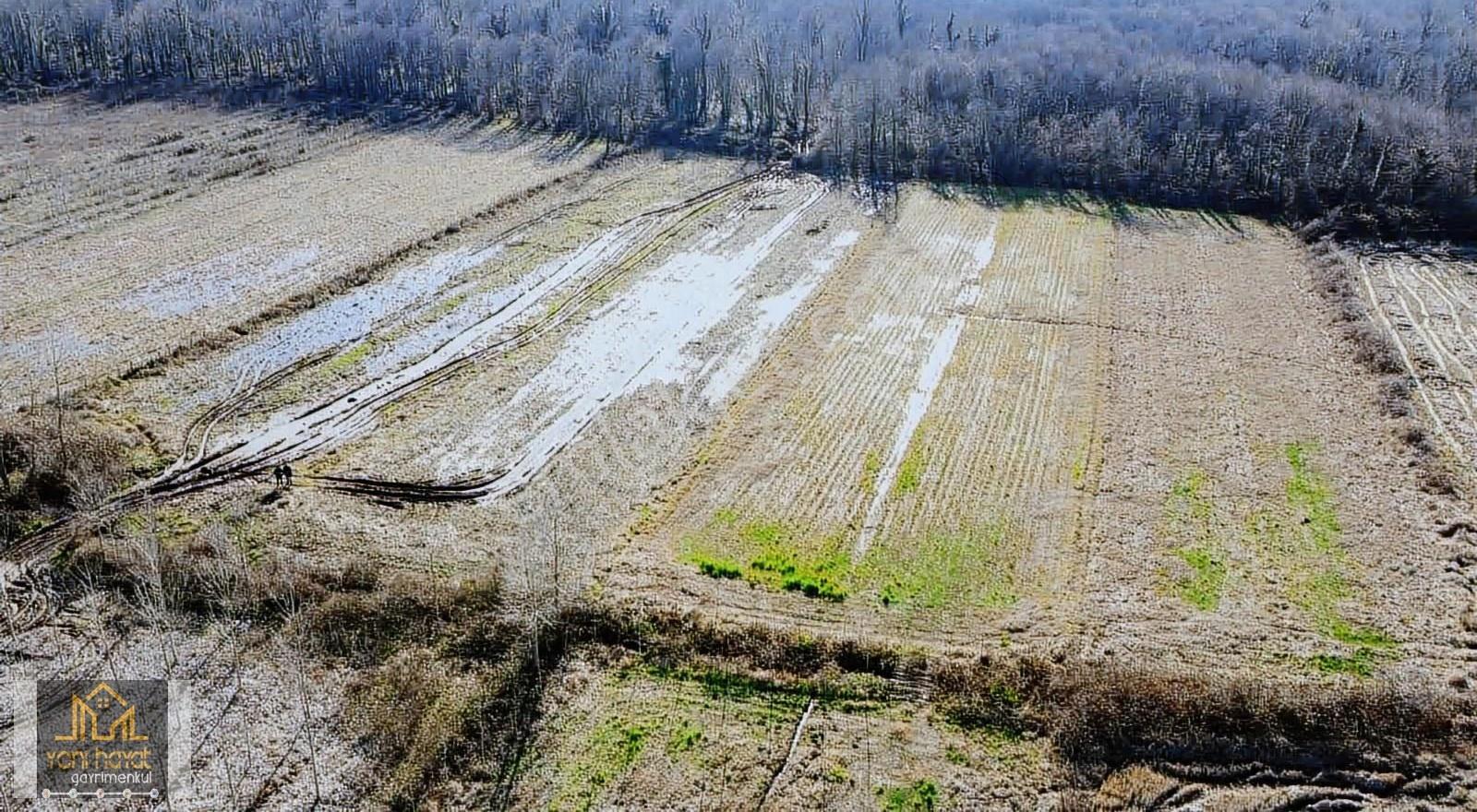 Salıpazarı Yeni Cezaevi Karşısında Satılık Fırsat 2713 M2 Tarla - Görsel 4
