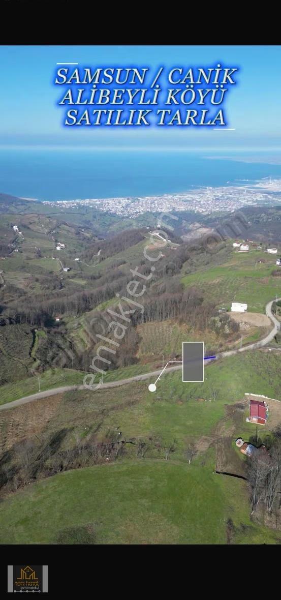 Canik Alibeyli Mahallesinde Deniz Manzaralı Satılık Tarla - Görsel 6