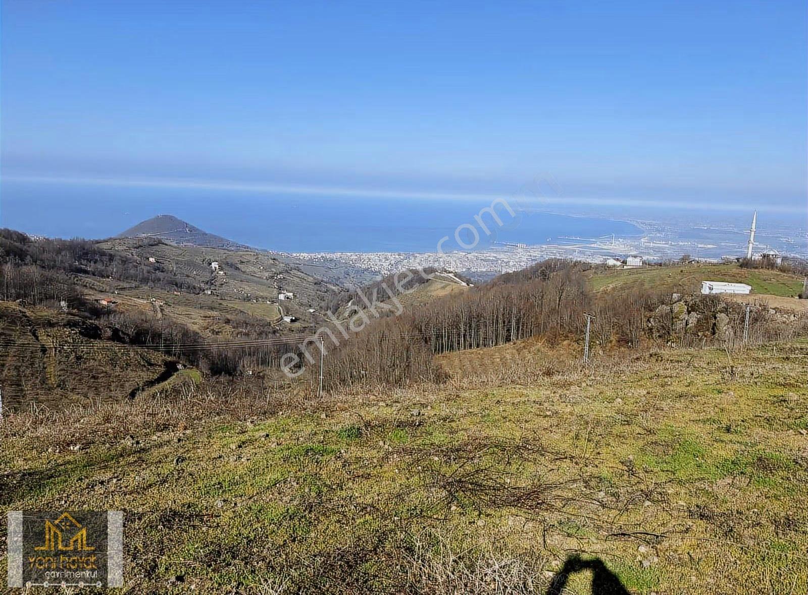Canik Alibeyli Mahallesinde Deniz Manzaralı Satılık Tarla