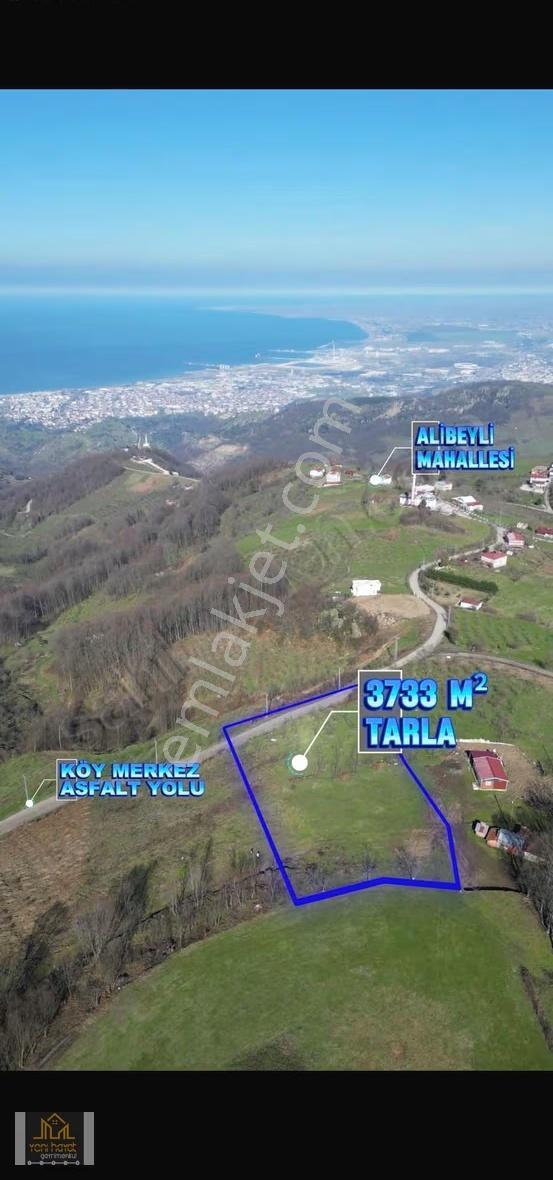 Canik Alibeyli Mahallesinde Deniz Manzaralı Satılık Tarla - Görsel 5