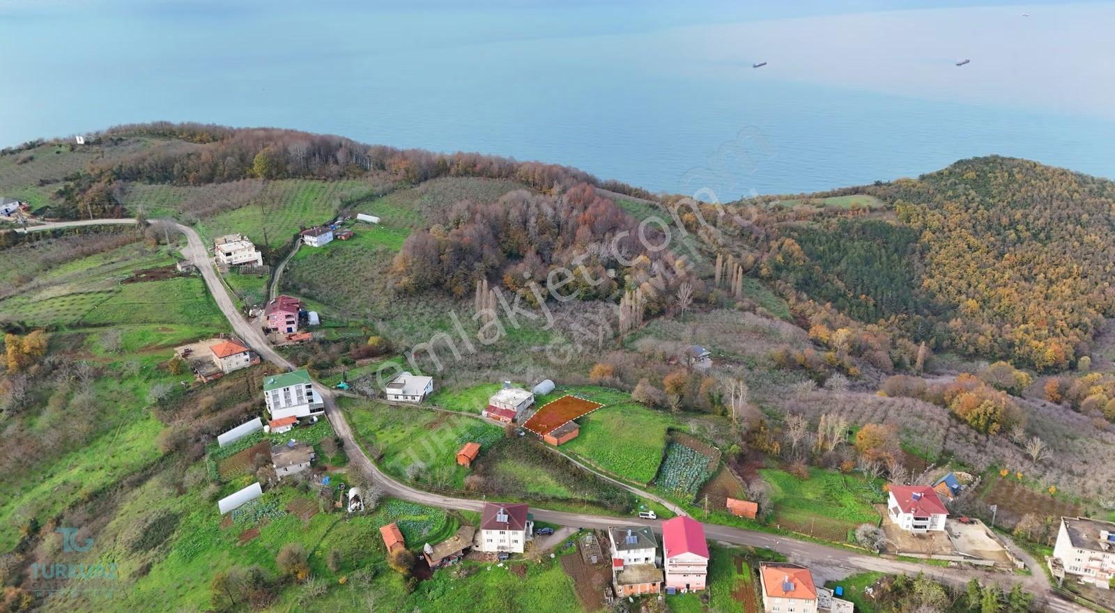 Güzelcehisar'da Full Deniz Manzaralı Villa İmarlı Fırsat Arsa - Görsel 7