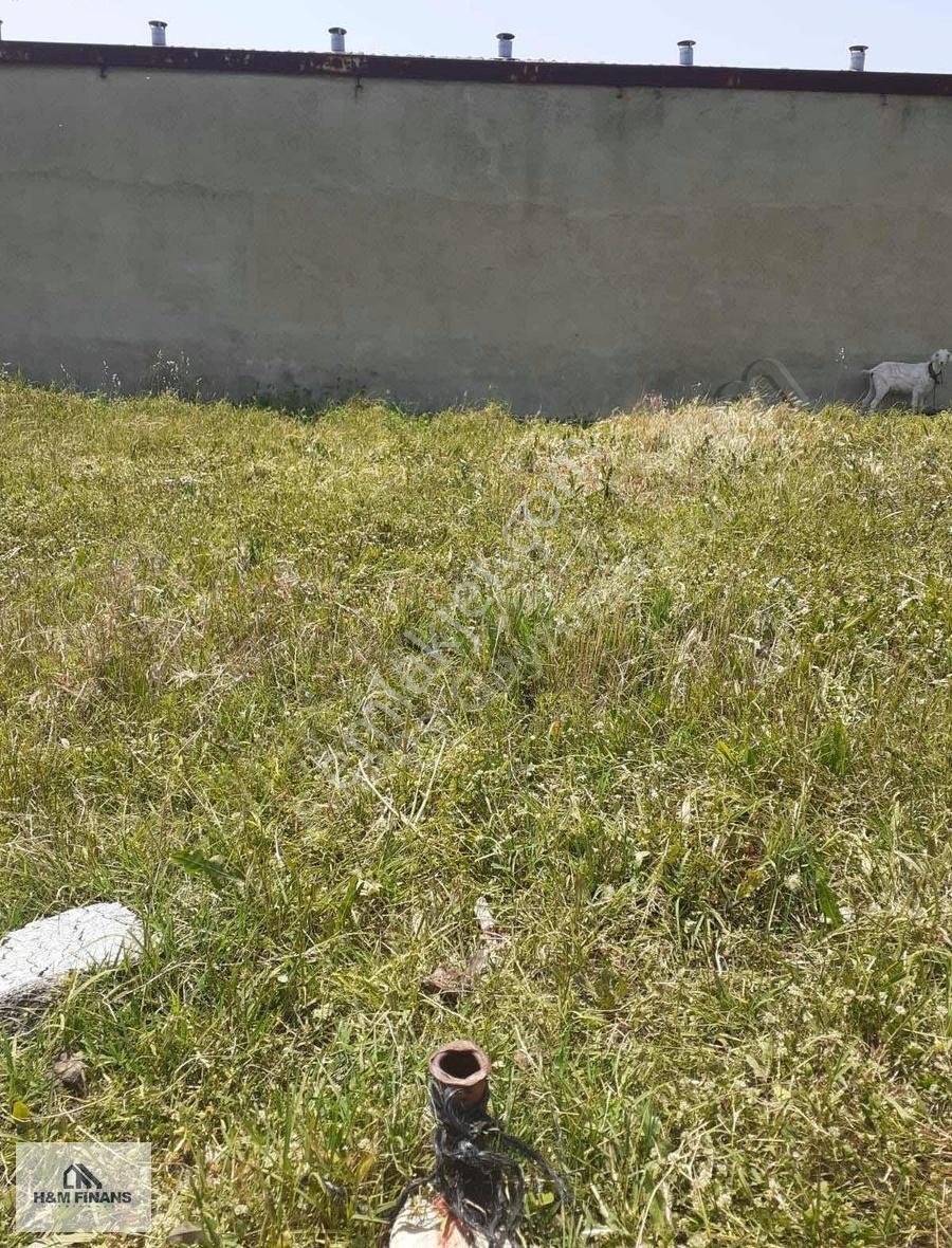 Edirne Havsa Hacıgazi 278 M2 Satılık İmarlı Arsa Acil!! - Görsel 5