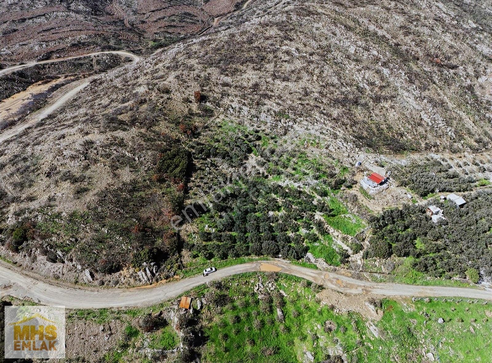 Ürkmez'de Baraj Manzaralı Yatırımlık Zeytinlik