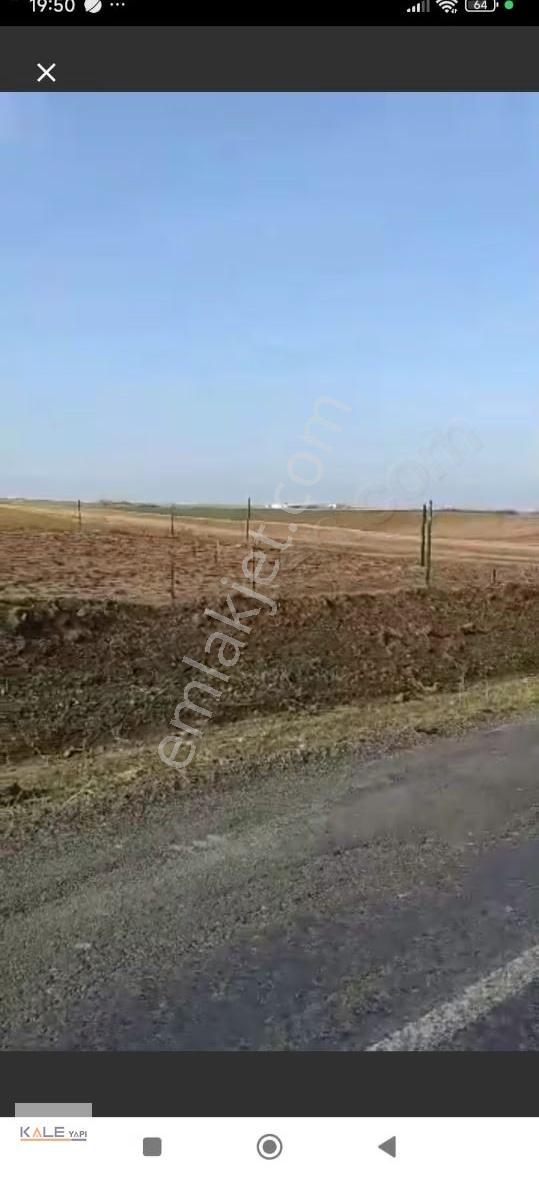 256 Metrekare Asfalta Cephe Yatırımlık Tarla - Görsel 2