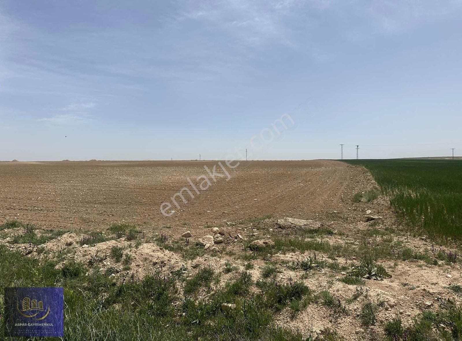 Sarayönü Özkentte Asfaltı Yola Cephe Satılık 64000 M2 Müstakil - Görsel 7