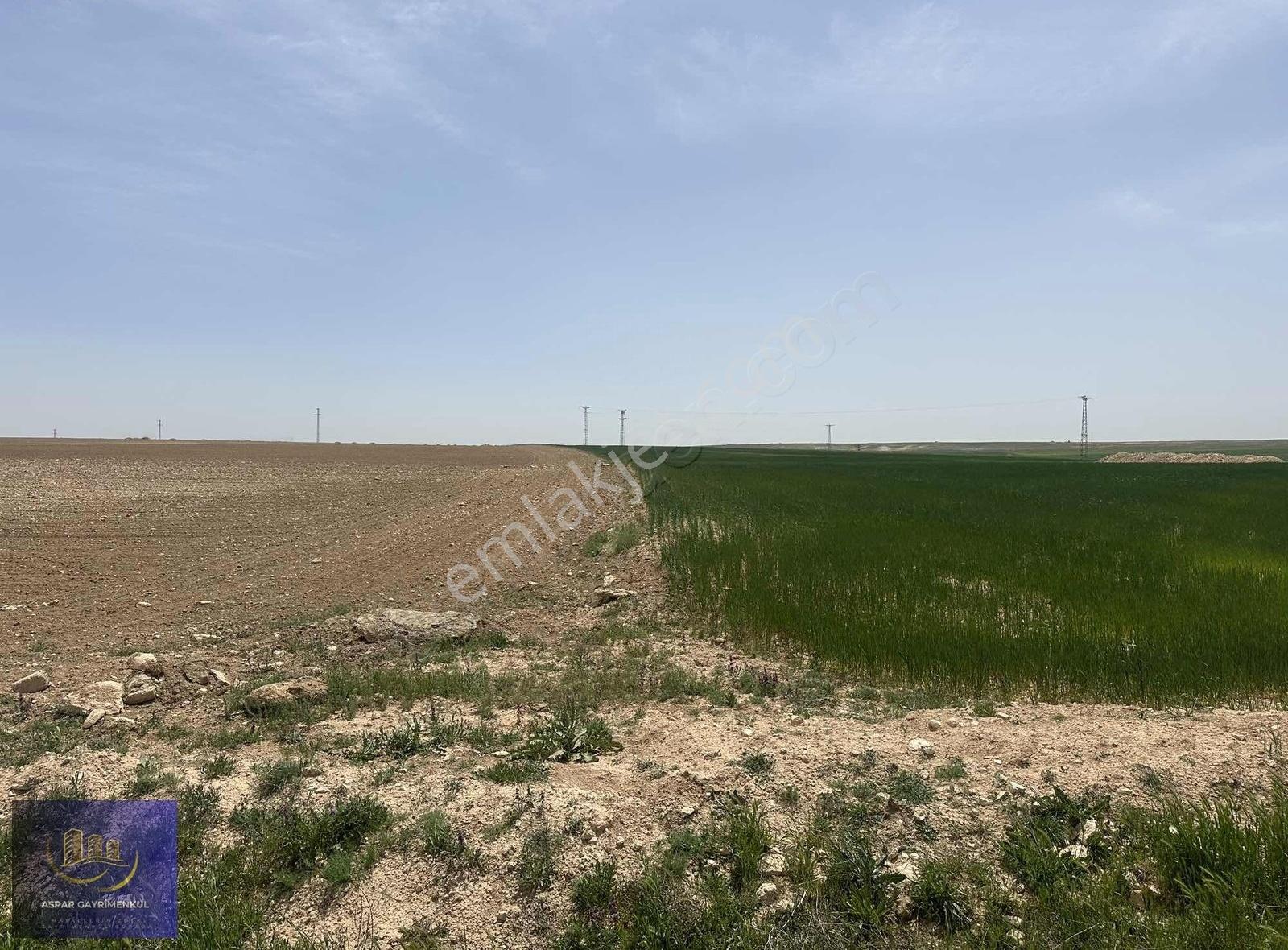 Sarayönü Özkentte Asfaltı Yola Cephe Satılık 64000 M2 Müstakil - Görsel 4