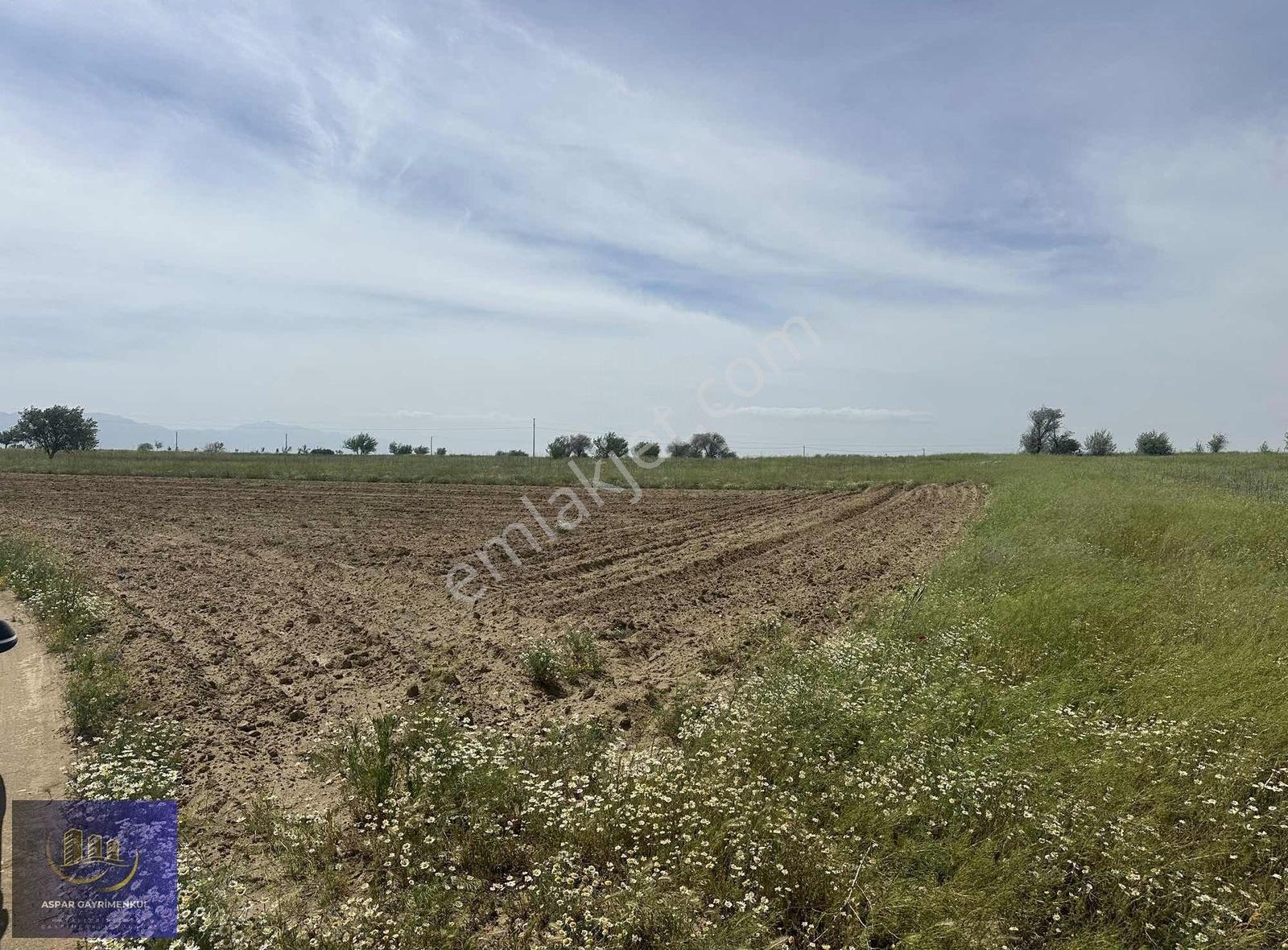 Tuzlukçu Aşağı Mahallesinde 7872 M2 Bağ Tapulamalı Müstakil - Görsel 4