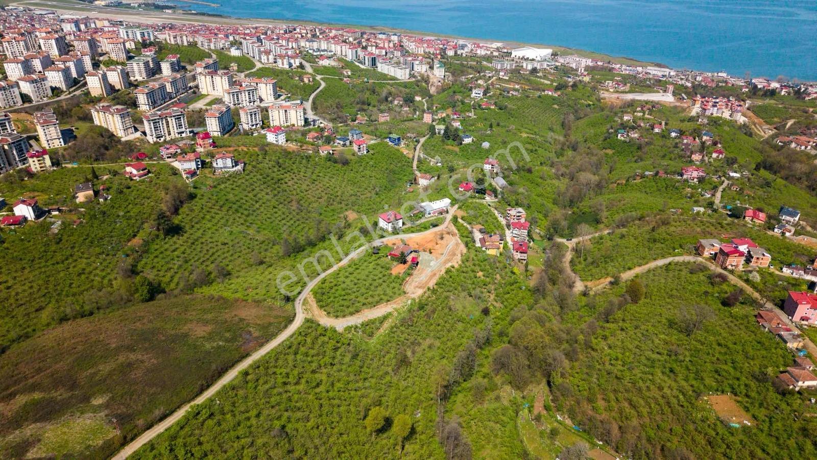 Çimenlide Satılık Deniz Manzaralı Arsalar - Görsel 4