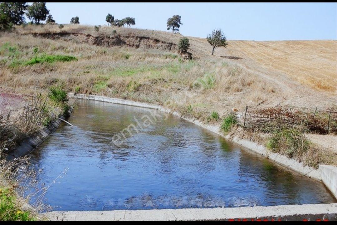 Ç.kale Biga Da18.510m2 Çiftlik Arazisi Mera Cephe - Görsel 4