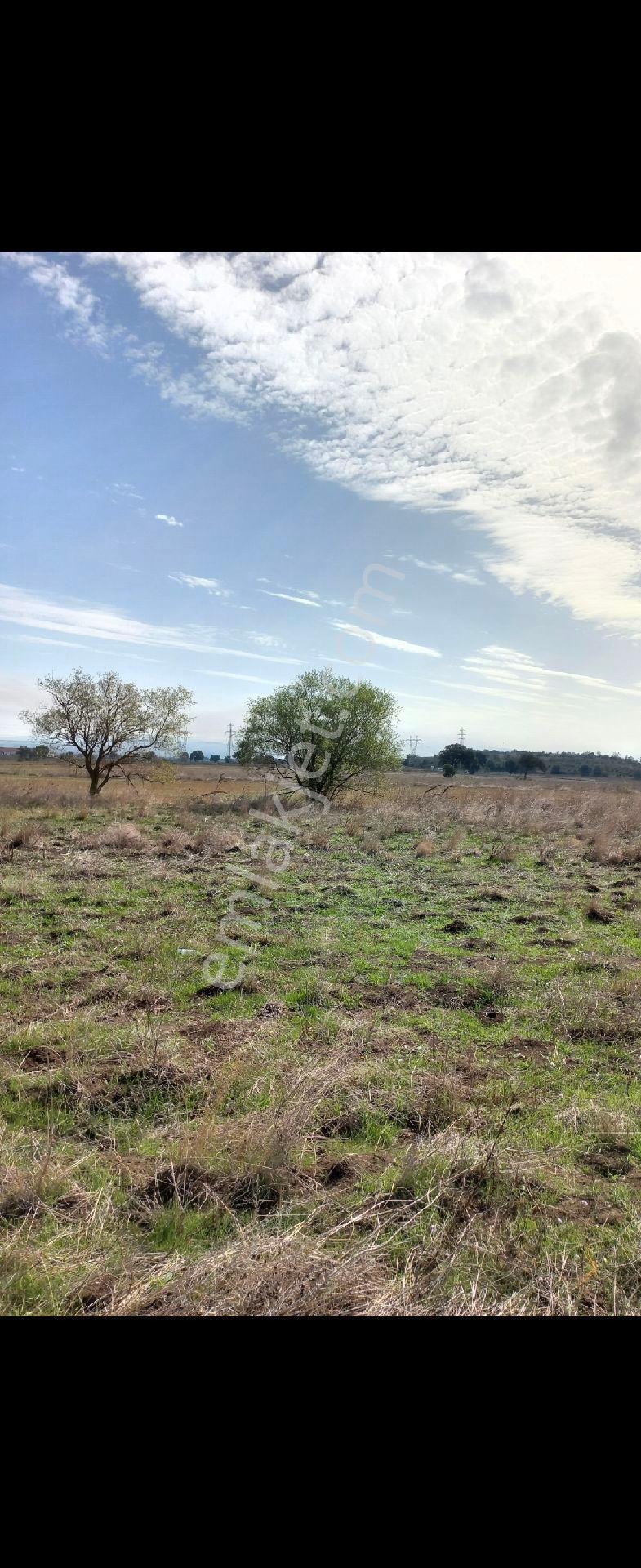Ç.kale Biga Da18.510m2 Çiftlik Arazisi Mera Cephe - Görsel 8