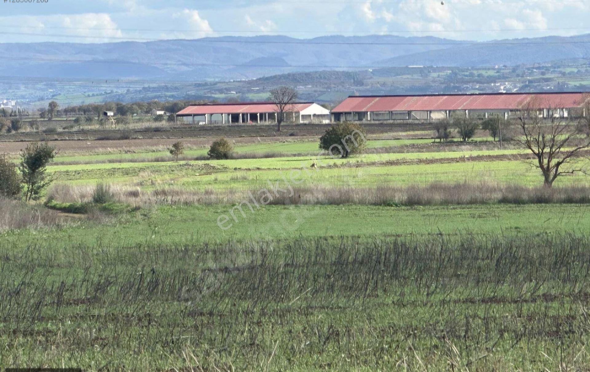 Ç.kale Biga Da18.510m2 Çiftlik Arazisi Mera Cephe - Görsel 13