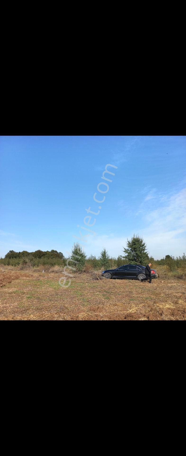 Ç.kale Biga Da18.510m2 Çiftlik Arazisi Mera Cephe - Görsel 5