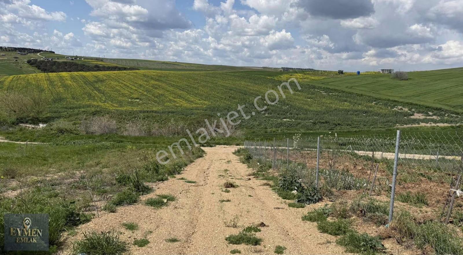 Kendime Ait Yerlerim 300 Metrajlar Son Kalanlardan - Görsel 5