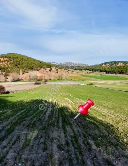 Burdur Merkez Bereket Köyü'nde 8.085 M² Satılık Tarla - Görsel 5