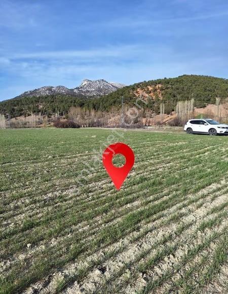 Burdur Merkez Bereket Köyü'nde 8.085 M² Satılık Tarla - Görsel 6