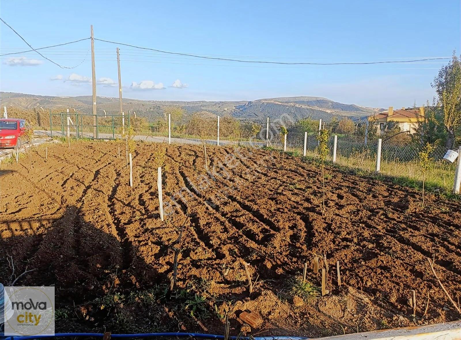 Büğet Yolunda Evi Olan Yol Cepheli 500 M2 Satılık Hobi Bahçesi - Görsel 9
