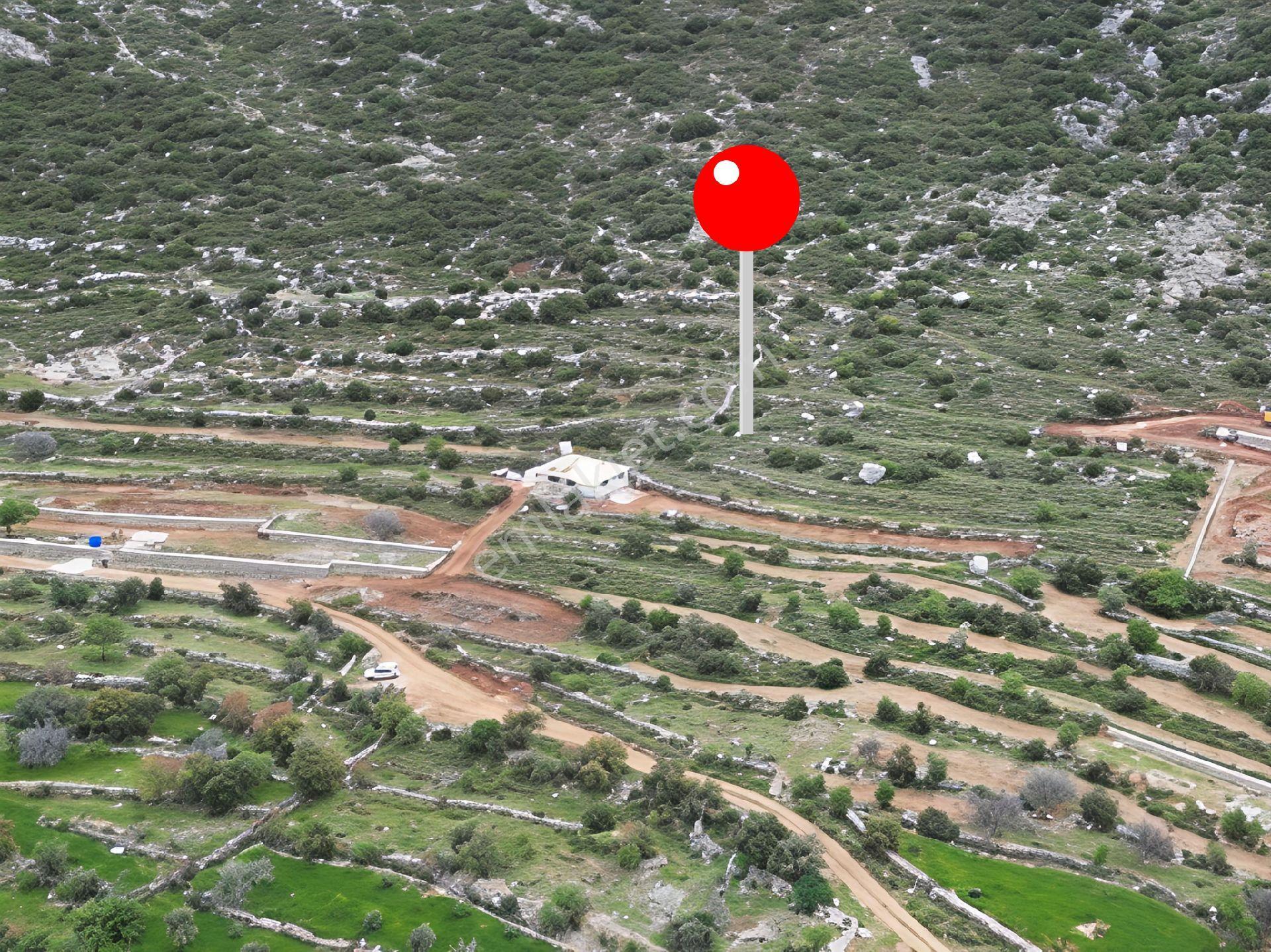 Joker: Söğüt Bahçeli Yerleşim Alanında Denize 3 Km Tarla - Görsel 3